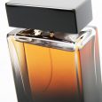 Dolce and Gabbana The One For Men EDP Spray 100ml